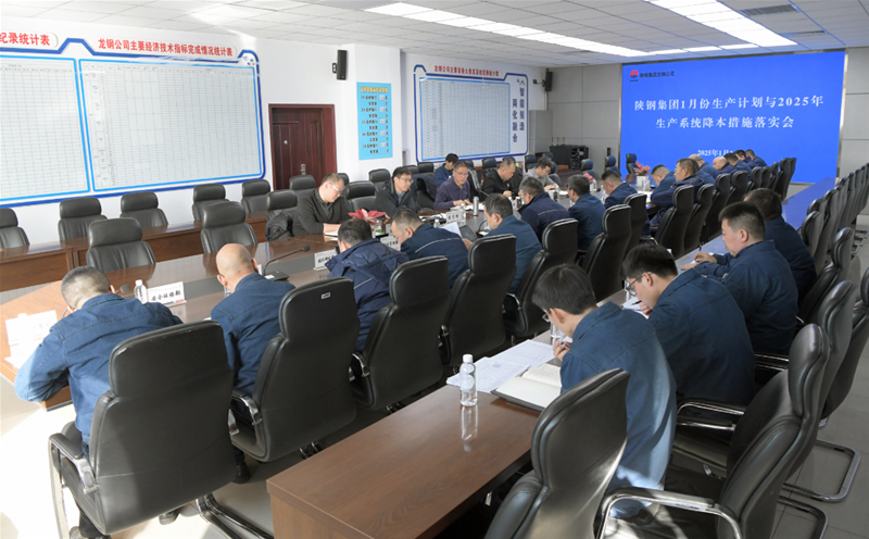 杨召朋到龙钢公司检查指导工作